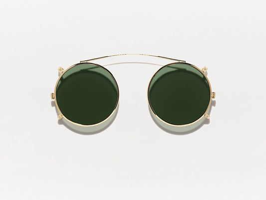 Moscot / Zolman
