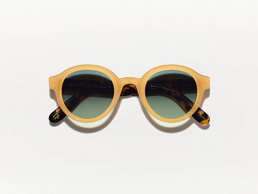 Moscot / Greps