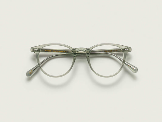 Moscot / Jared