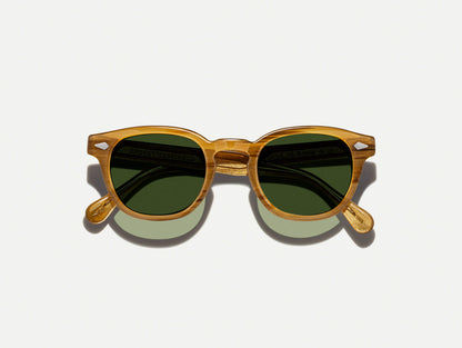 Moscot / Lemtosh
