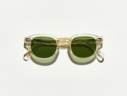 Moscot / Lemtosh