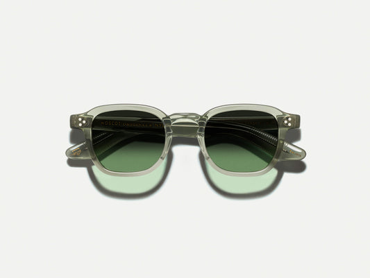 Moscot / Momza